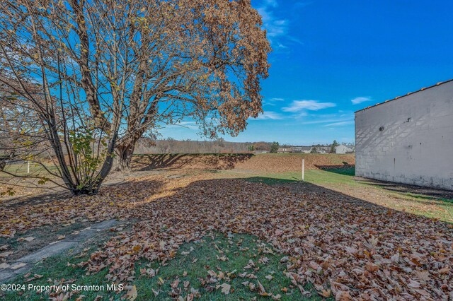 view of yard featuring a rural view