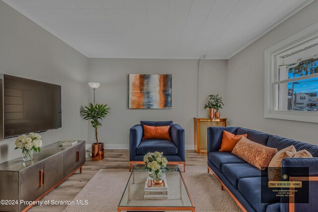 living room with light hardwood / wood-style flooring