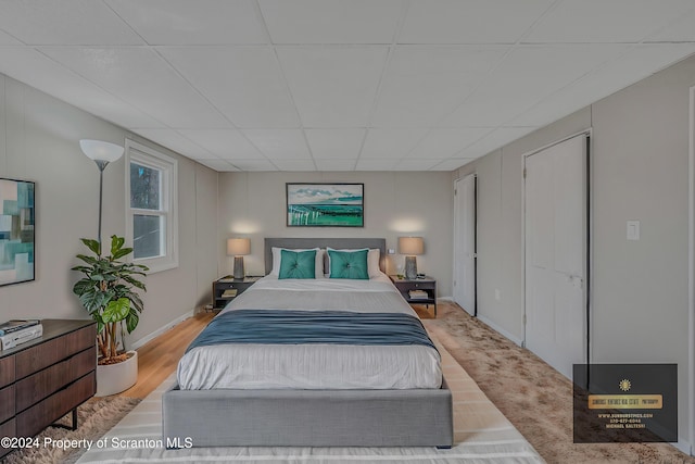 bedroom featuring a paneled ceiling and light wood-type flooring