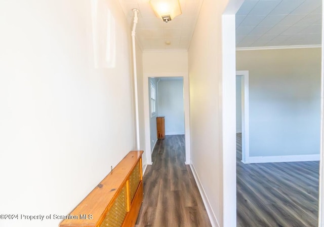 hallway with dark hardwood / wood-style floors and ornamental molding