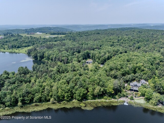 977 Laurel Ln, Kingsley, PA 18826 - aerial view of a forest and a large body of water