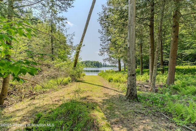 977 Laurel Ln, Kingsley, PA 18826 - view of yard featuring a water view