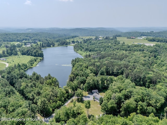 977 Laurel Ln, Kingsley, PA 18826 - aerial view of a large body of water and a heavily wooded area