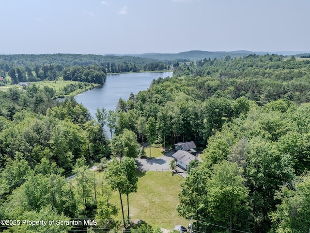 977 Laurel Ln, Kingsley, PA 18826 - drone / aerial view of a heavily wooded area and a nearby body of water