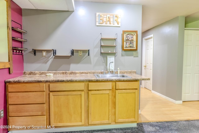 kitchen featuring sink and light colored carpet