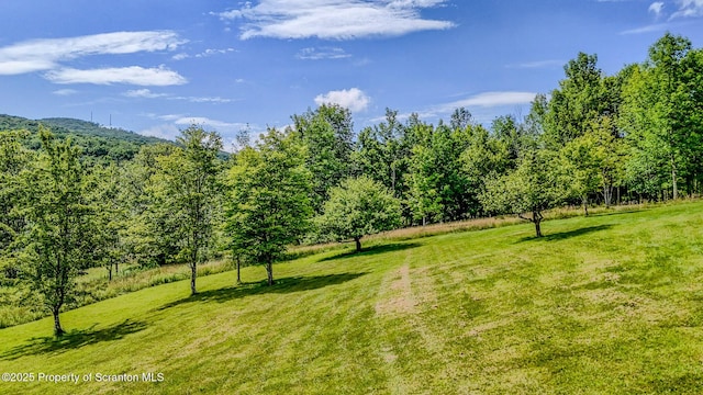 660 Wildenberg Rd, Clifford Twp, PA 18470 - photo 5