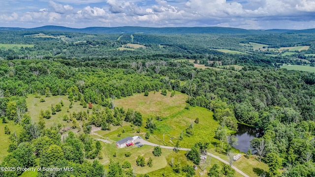 660 Wildenberg Rd, Clifford Twp, PA 18470 - photo 54