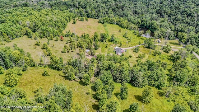 660 Wildenberg Rd, Clifford Twp, PA 18470 - photo 53