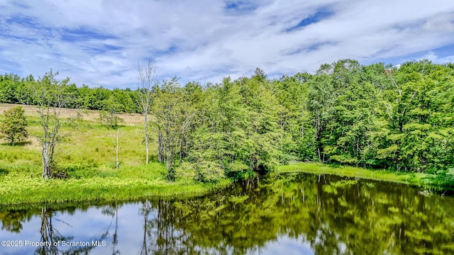660 Wildenberg Rd, Clifford Twp, PA 18470 - photo 61