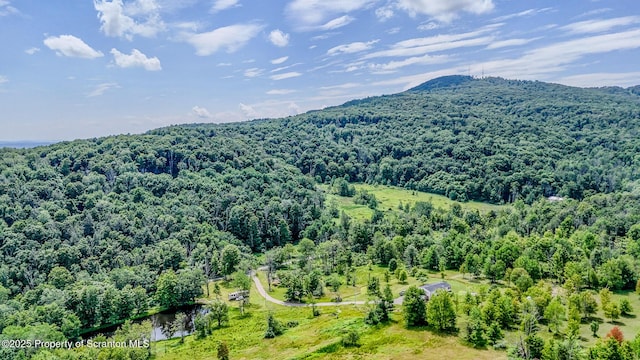 660 Wildenberg Rd, Clifford Twp, PA 18470 - photo 49