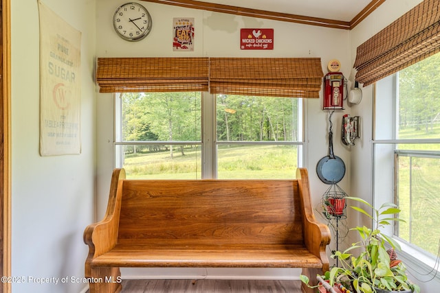 660 Wildenberg Rd, Clifford Twp, PA 18470 - photo 20