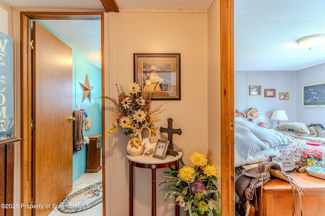 660 Wildenberg Rd, Clifford Twp, PA 18470 - photo 25