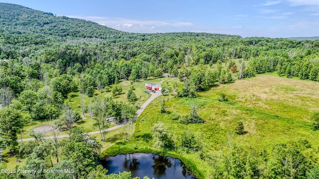 660 Wildenberg Rd, Clifford Twp, PA 18470 - photo 47