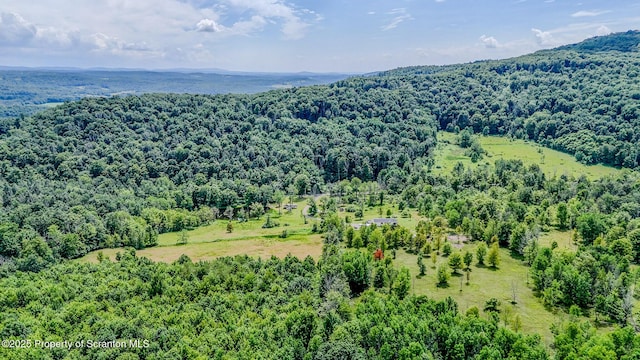 660 Wildenberg Rd, Clifford Twp, PA 18470 - photo 50