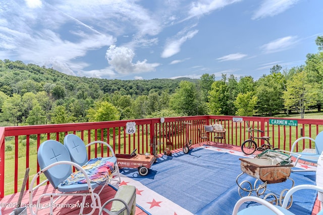 660 Wildenberg Rd, Clifford Twp, PA 18470 - photo 36