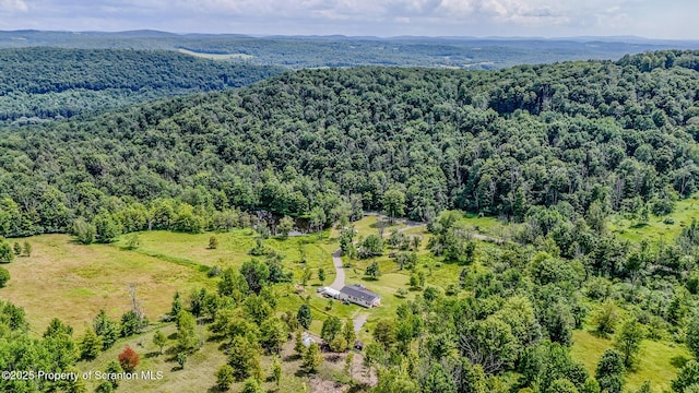 660 Wildenberg Rd, Clifford Twp, PA 18470 - photo 52