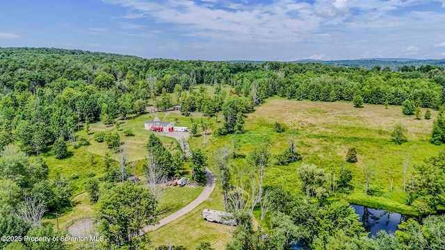 660 Wildenberg Rd, Clifford Twp, PA 18470 - photo 46