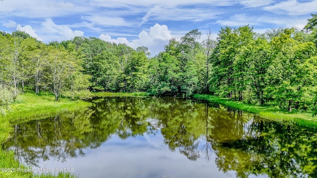 660 Wildenberg Rd, Clifford Twp, PA 18470 - photo 58