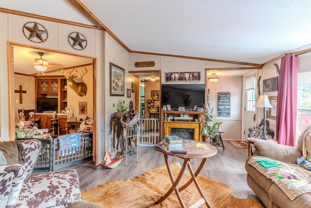 660 Wildenberg Rd, Clifford Twp, PA 18470 - photo 9