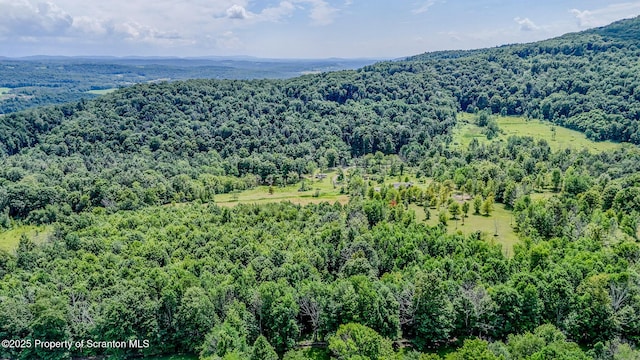 660 Wildenberg Rd, Clifford Twp, PA 18470 - photo 51
