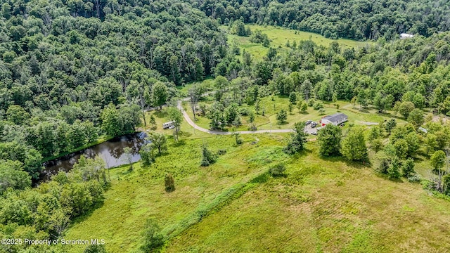 660 Wildenberg Rd, Clifford Twp, PA 18470 - photo 48