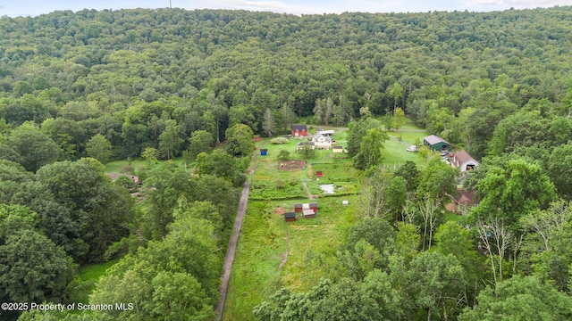 793 Halowich Rd, Harveys Lake, PA 18618 - photo 9