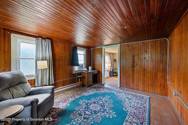 793 Halowich Rd, Harveys Lake, PA 18618 - photo 53