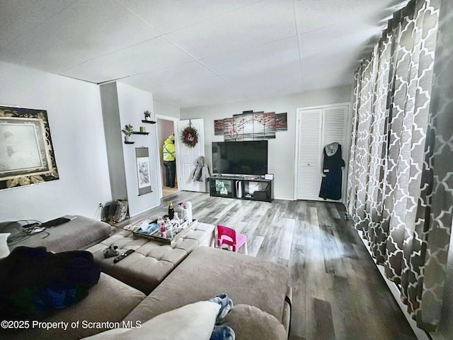 living room with wood-type flooring