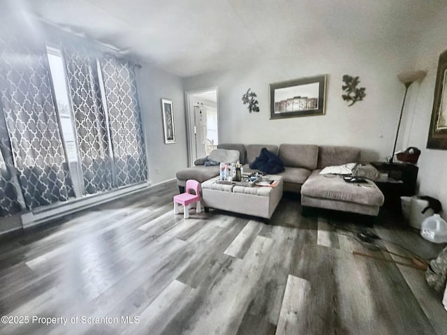 living room featuring wood-type flooring