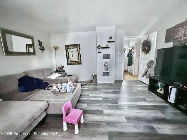 living room with wood-type flooring