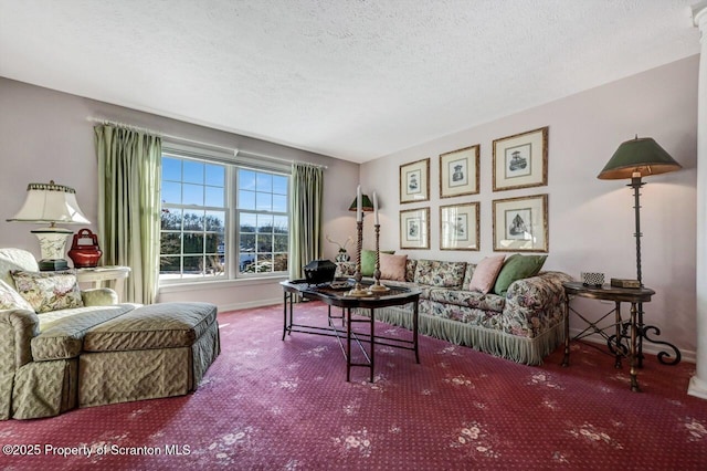 carpeted living area with a textured ceiling and baseboards