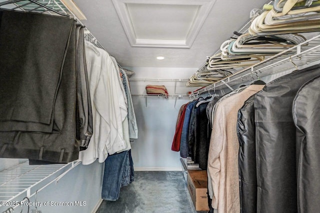 spacious closet featuring carpet flooring and attic access