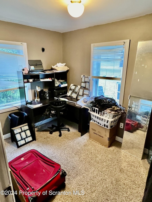 home office featuring carpet flooring