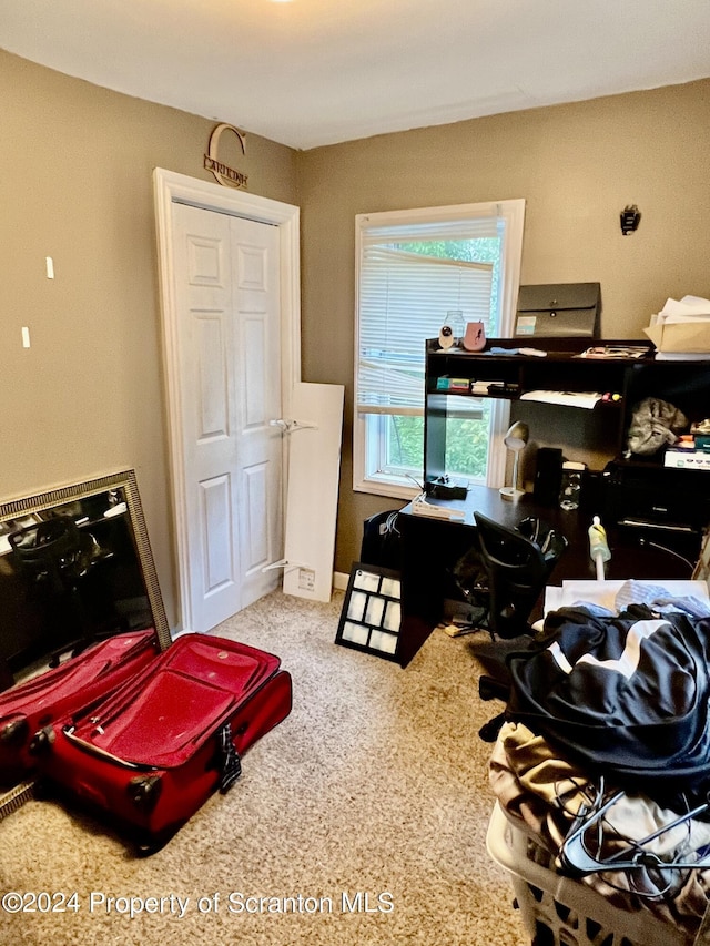 bedroom featuring carpet and a closet