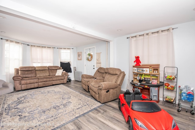 living room featuring wood-type flooring