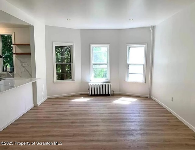 interior space featuring radiator heating unit and dark wood-type flooring