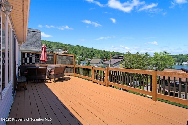118 Evergreen Ln, Factoryville, PA 18419 - photo 37