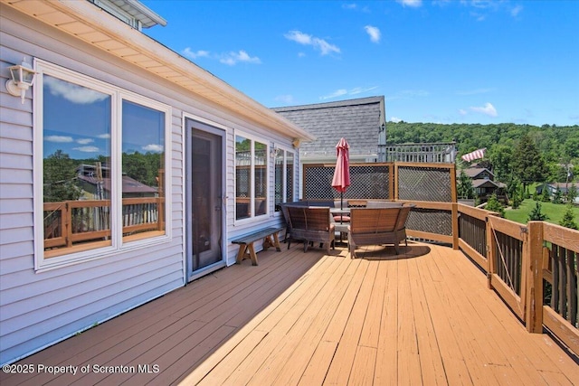 118 Evergreen Ln, Factoryville, PA 18419 - photo 36