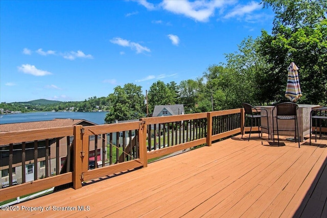 118 Evergreen Ln, Factoryville, PA 18419 - photo 39