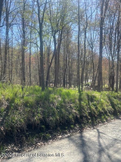 Waterford Rd, Glenburn, PA 18411 - photo 3