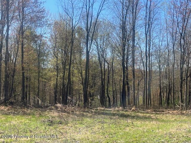 Waterford Rd, Glenburn, PA 18411 - photo 1