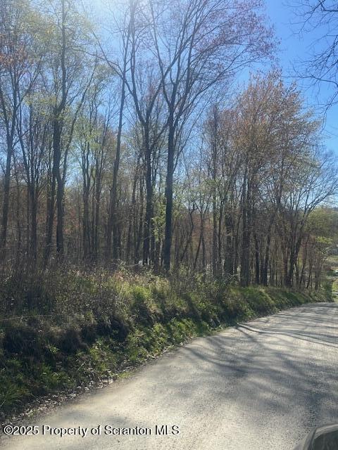 Waterford Rd, Glenburn, PA 18411 - photo 2