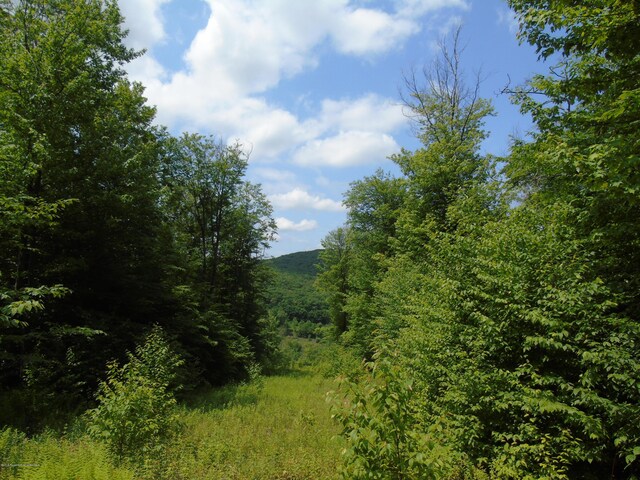 58 Summit Woods, Roaring Brook Twp, PA 18444