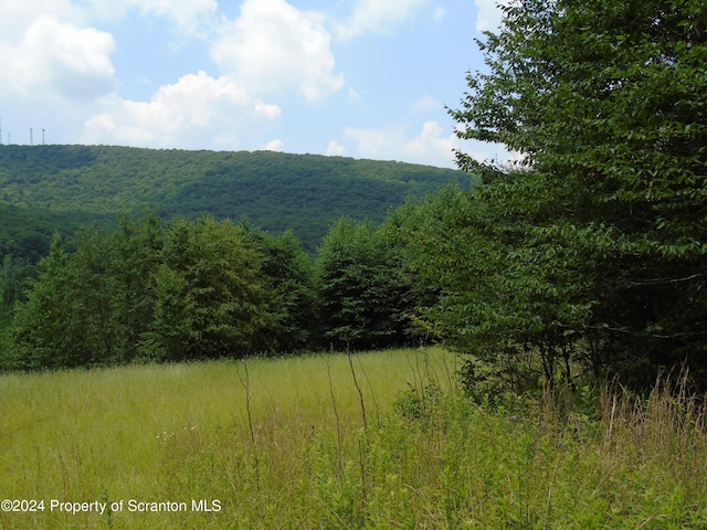 58 Summit Woods, Roaring Brook Twp, PA 18444