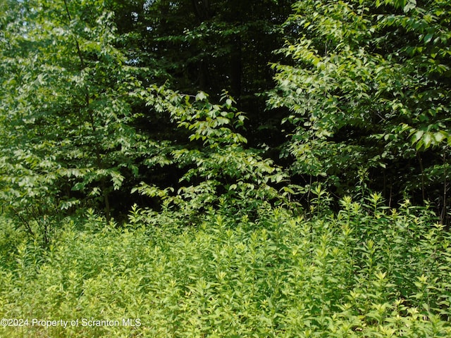 58 Summit Woods, Roaring Brook Twp, PA 18444