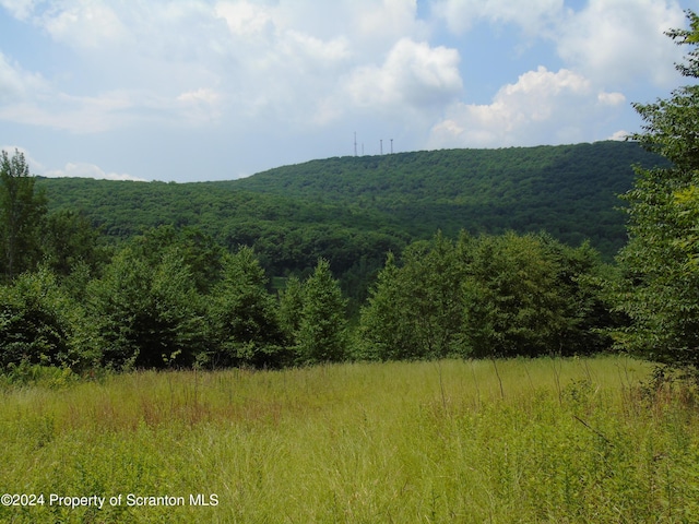 58 Summit Woods, Roaring Brook Twp, PA 18444