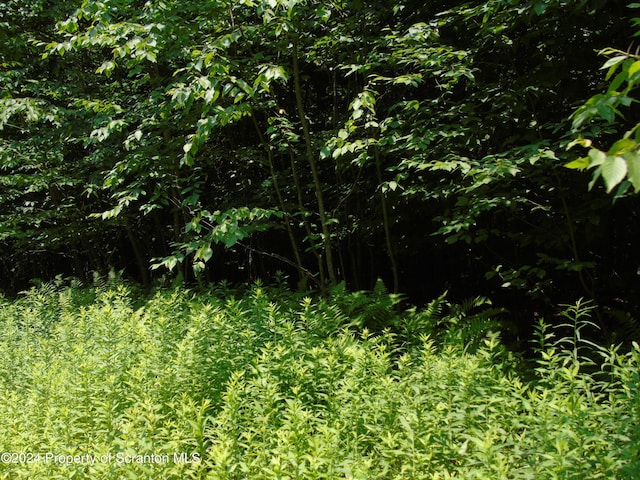 58 Summit Woods, Roaring Brook Twp, PA 18444