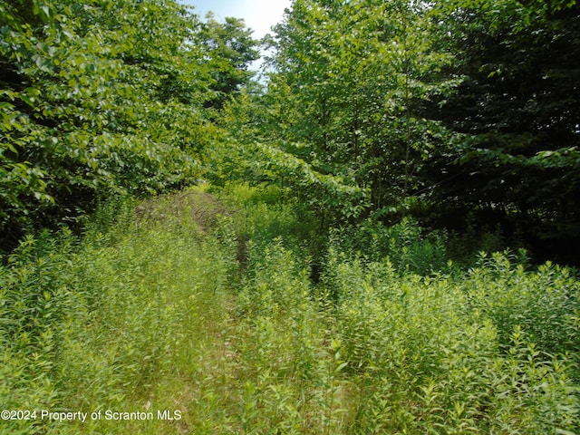 58 Summit Woods, Roaring Brook Twp, PA 18444