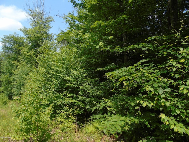 58 Summit Woods, Roaring Brook Twp, PA 18444