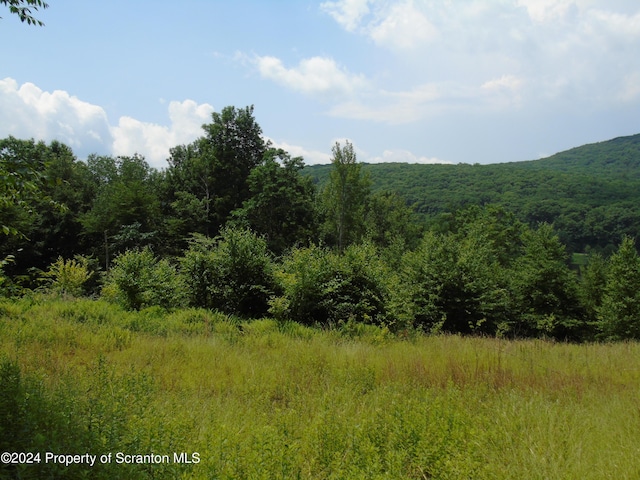 58 Summit Woods, Roaring Brook Twp, PA 18444
